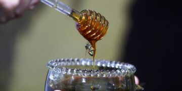 25ª Feira do Mel volta a Florianópolis e projeta comercializar até 55 toneladas de produtos