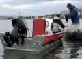 Casal de atletas salva tartaruga presa à rede de pesca em SC