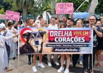 Decisão veio após análise de cerca de dois mil arquivos