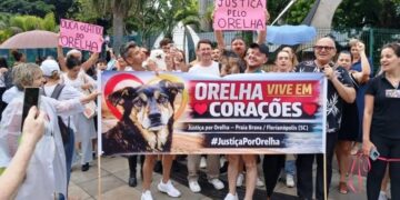 Decisão veio após análise de cerca de dois mil arquivos