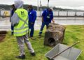 Obra na Lagoa da Conceição encontra achado arqueológico com mais de 100 anos