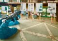 Exposição em Florianópolis celebra a chegada das baleias-francas ao litoral