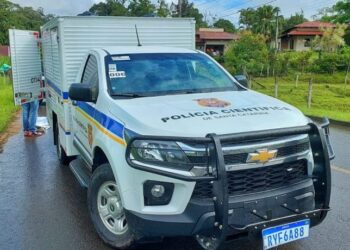 Corpo de mulher é encontrado em área de difícil acesso na Grande Florianópolis