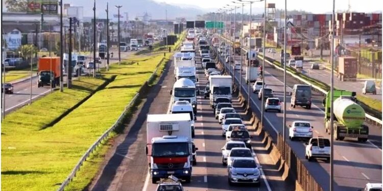MPF cobra telas de proteção durante manutenção na BR-101 em SC