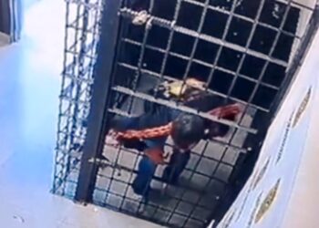 Preso por agredir a família escapa pela grade em cela da delegacia