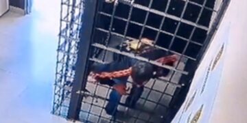 Preso por agredir a família escapa pela grade em cela da delegacia