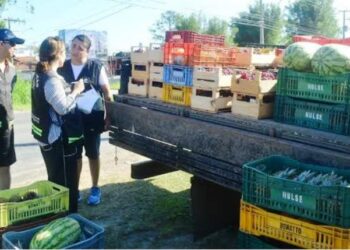 Mais de uma tonelada de alimentos irregulares é apreendida em Florianópolis
