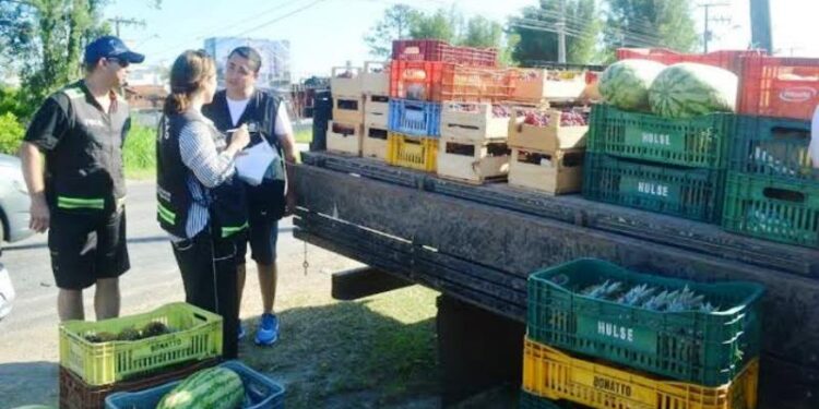 Mais de uma tonelada de alimentos irregulares é apreendida em Florianópolis